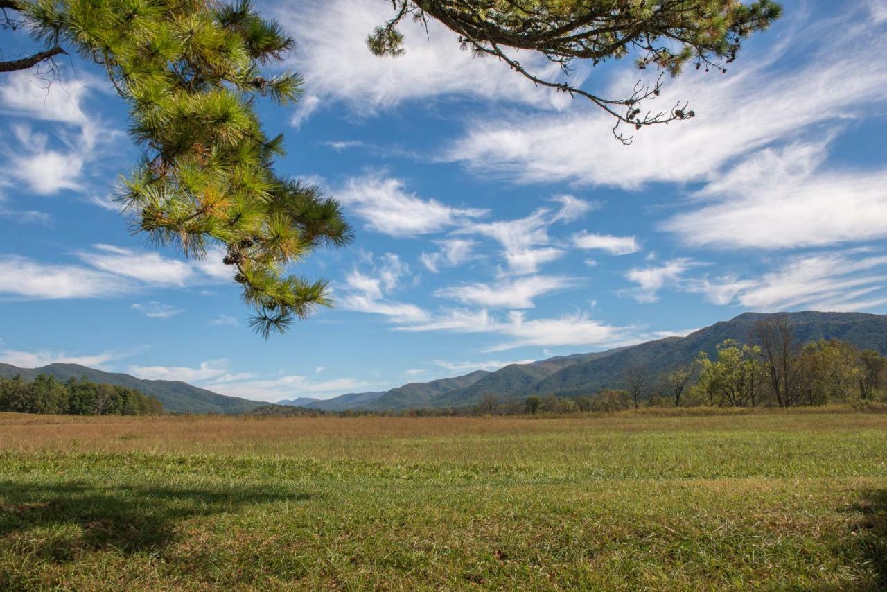 Вилла Awesome View Henderson Springs Экстерьер фото